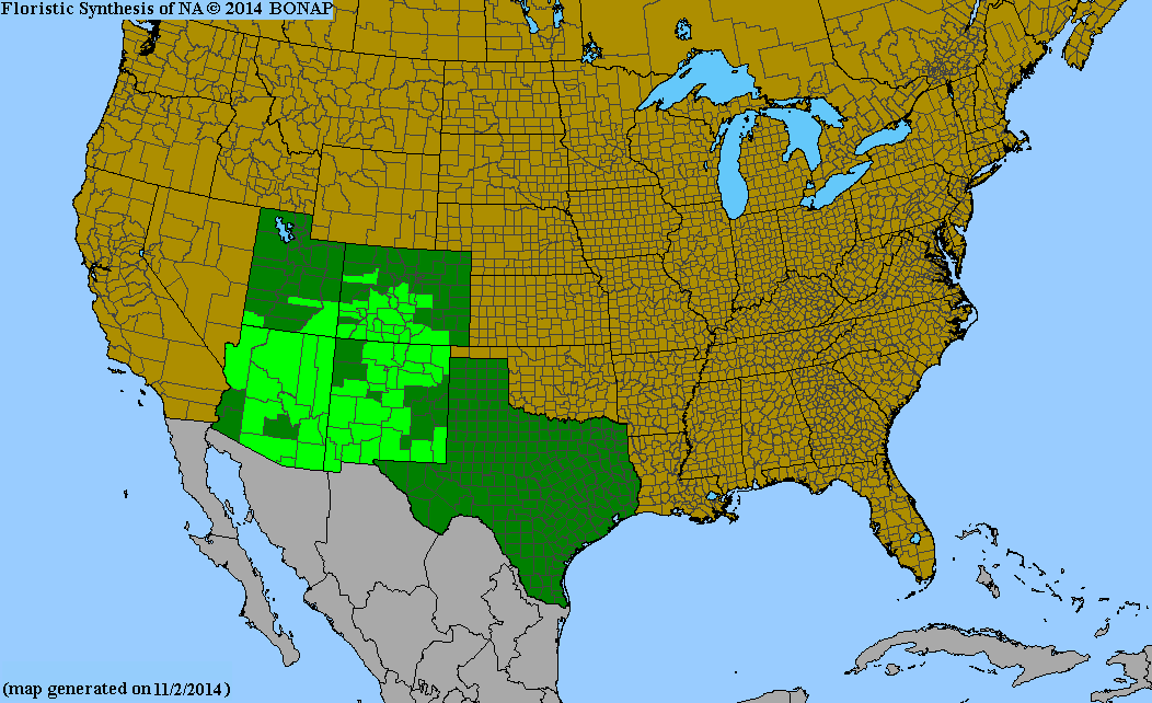 County distribution map of Penstemon barbatus ssp. torreyi - Beard-Lip Beardtongue